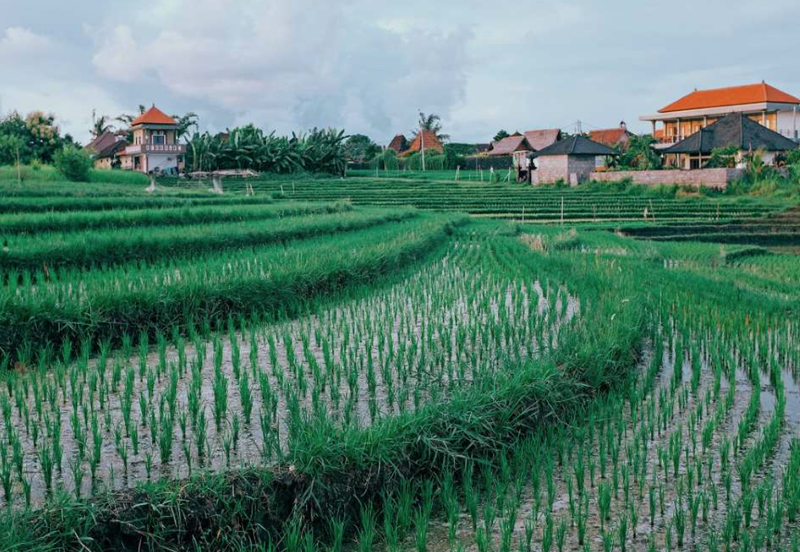 Agriculture Land @ Klang, Selangor For Sale 