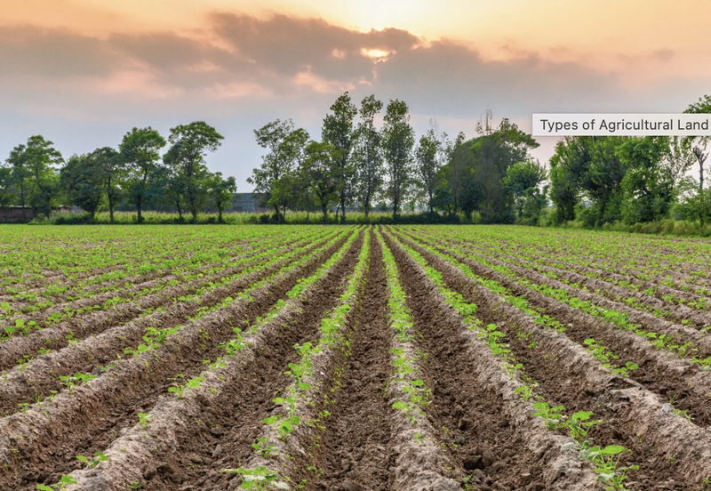 Agriculture Land @ Klang, Selangor For Sale 