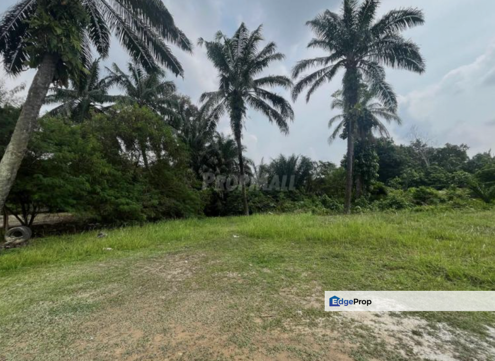 Agriculture Land @ Meru, Klang, Selangor For Sale , Selangor, Klang