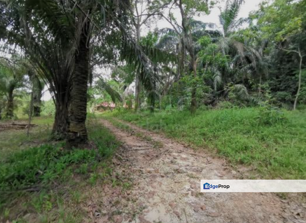 Agriculture Land @ Meru, Klang, Selangor For Sale , Selangor, Klang