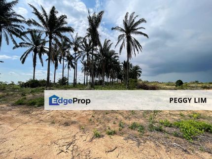 Agricultural Land Bandar Sri Sendayan, Negeri Sembilan (Industrial Zone), Negeri Sembilan, Seremban