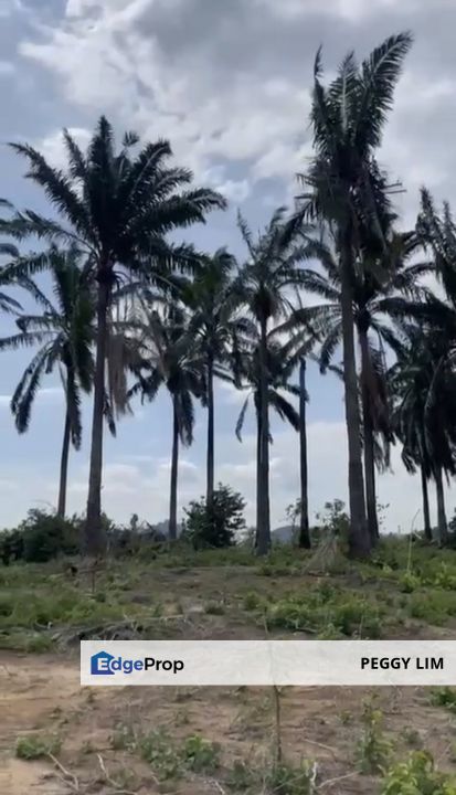 Agricultural Land Bandar Sri Sendayan, Negeri Sembilan (Industrial Zone), Negeri Sembilan, Seremban