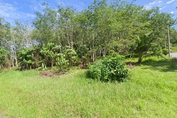 Agricultural Land for Sale - Lubok Nibong, Hulu Selangor, Selangor