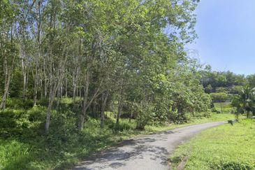 Agricultural Land for Sale - Lubok Nibong, Hulu Selangor, Selangor