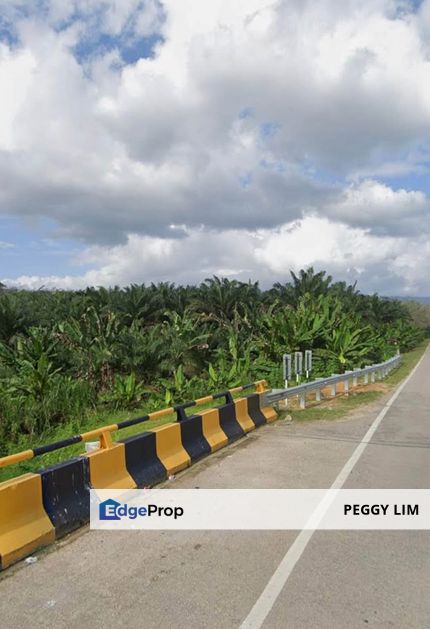 Segamat, Johor @ Farmland Available for Purchase, Johor, Segamat