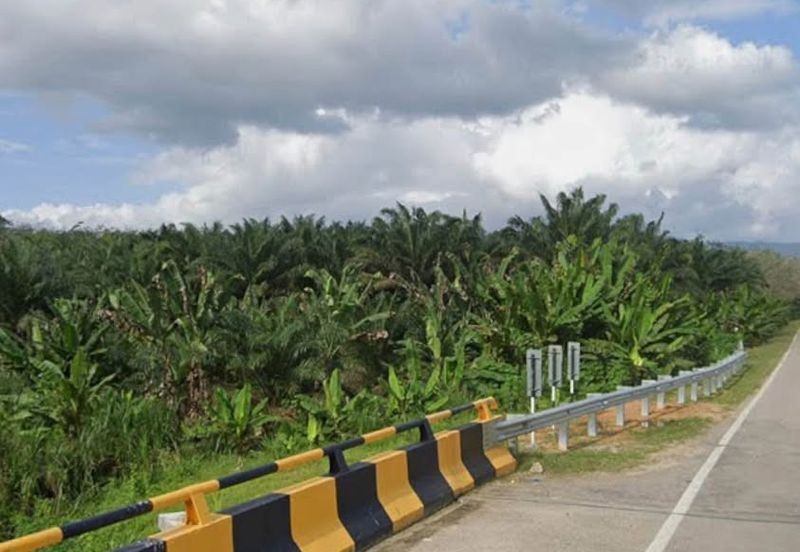 Segamat, Johor @ Farmland Available for Purchase