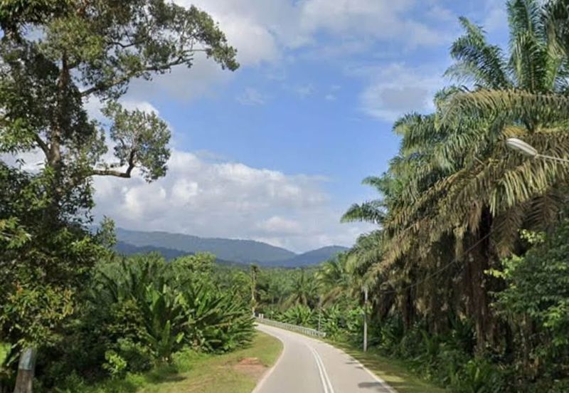 Segamat, Johor @ Farmland Available for Purchase