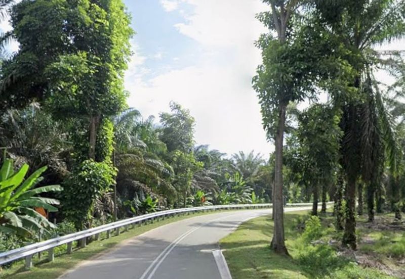 Segamat, Johor @ Farmland Available for Purchase