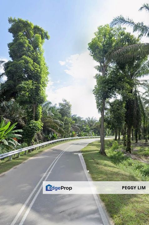 Segamat, Johor @ Farmland Available for Purchase, Johor, Segamat