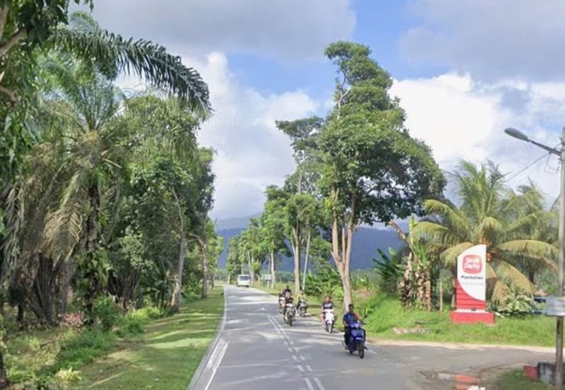 Segamat, Johor @ Farmland Available for Purchase