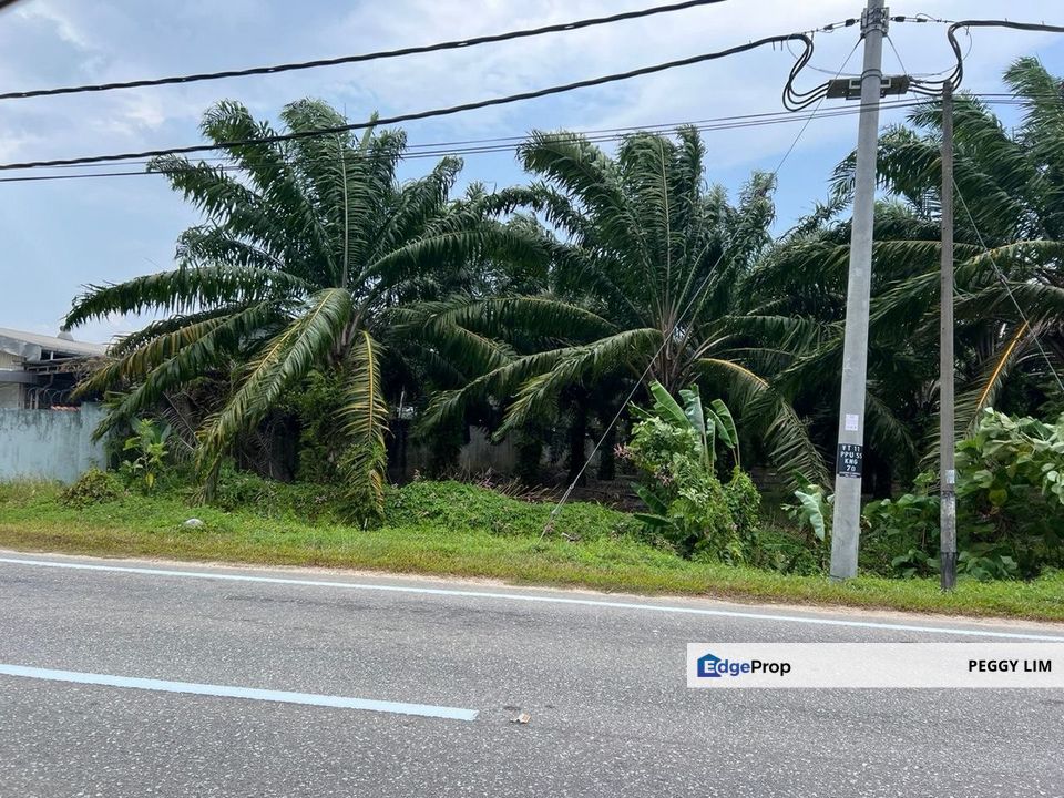 Farmland Available for Purchase @ Jorak, Muar, Johor, Johor, Muar