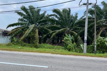 Farmland Available for Purchase @ Jorak, Muar, Johor