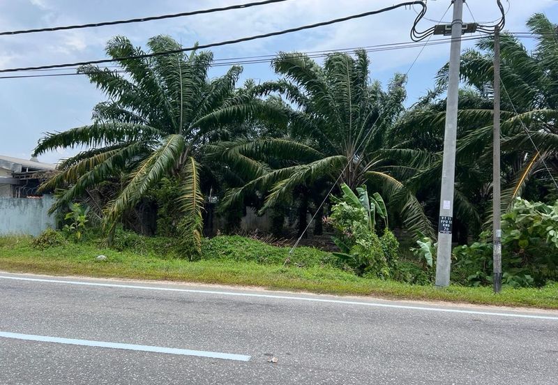 Farmland Available for Purchase @ Jorak, Muar, Johor
