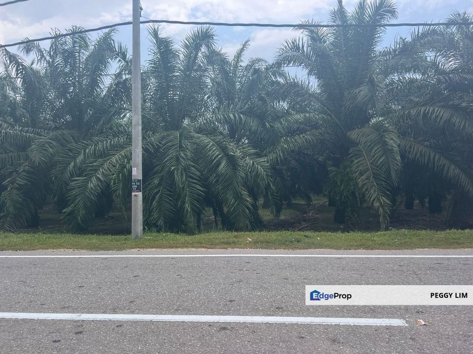 Farmland Available for Purchase @ Jorak, Muar, Johor, Johor, Muar