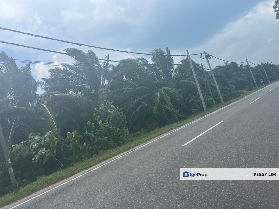 Farmland Available for Purchase @ Jorak, Muar, Johor, Johor, Muar