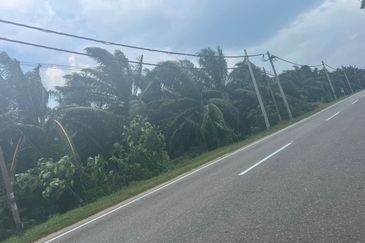 Farmland Available for Purchase @ Jorak, Muar, Johor