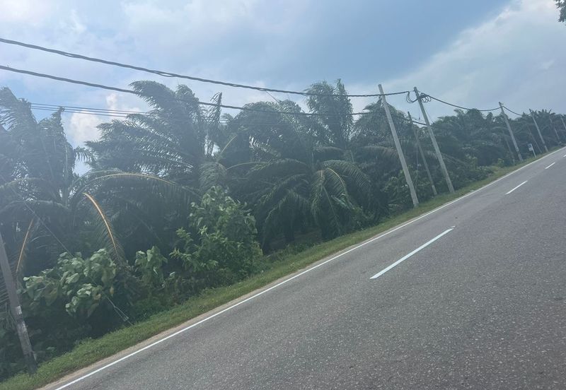 Farmland Available for Purchase @ Jorak, Muar, Johor