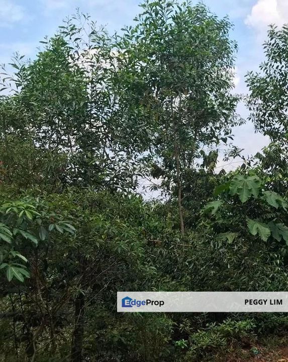 Others, Selangor, Serendah