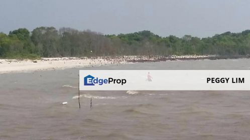 Sekinchan Bay Land, Selangor - 1 Plot Available for Purchase, Selangor, Sekinchan