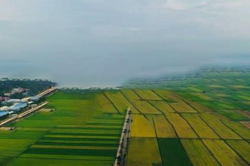 Sekinchan Bay Land, Selangor - 1 Plot Available for Purchase