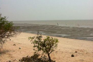 Sekinchan Bay Land, Selangor - 1 Plot Available for Purchase