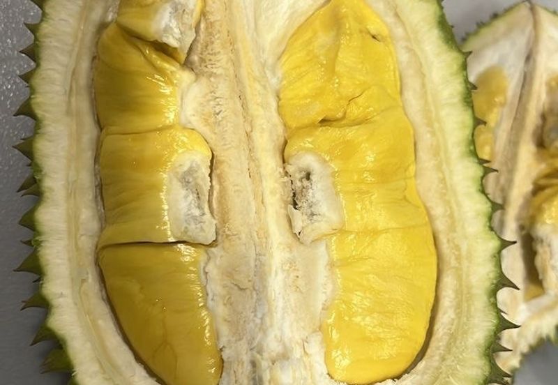 Mantin-Lenggeng Seremban @ Negeri Sembilan  Durian Farm for Sale.