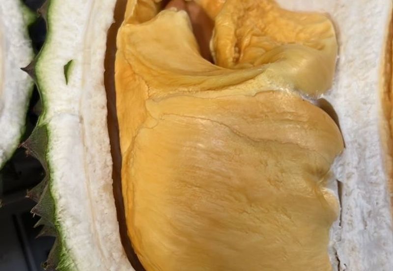 Mantin-Lenggeng Seremban @ Negeri Sembilan  Durian Farm for Sale.