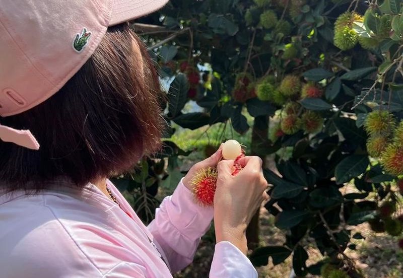 Mantin-Lenggeng Seremban @ Negeri Sembilan  Durian Farm for Sale.