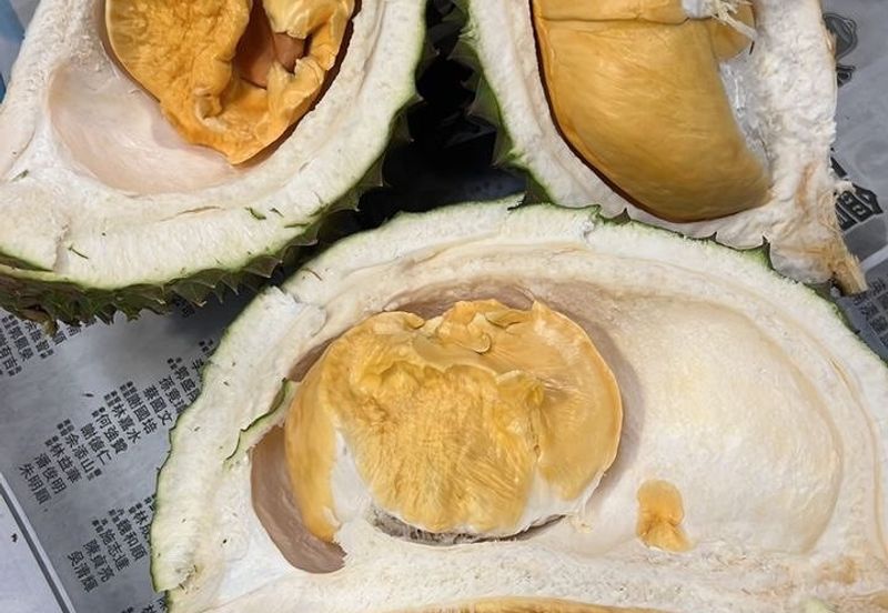 Mantin-Lenggeng Seremban @ Negeri Sembilan  Durian Farm for Sale.