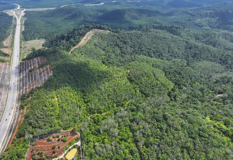 Ringlet Cameron Highlands @Pahang Development Land For Sale