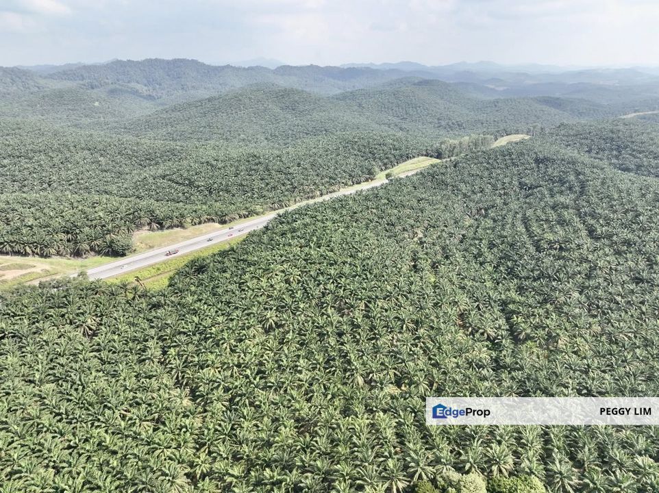 Jempol - Jelai @ Negeri Sembilan Oil Palm Plantation for Sale., Negeri Sembilan, Jempol