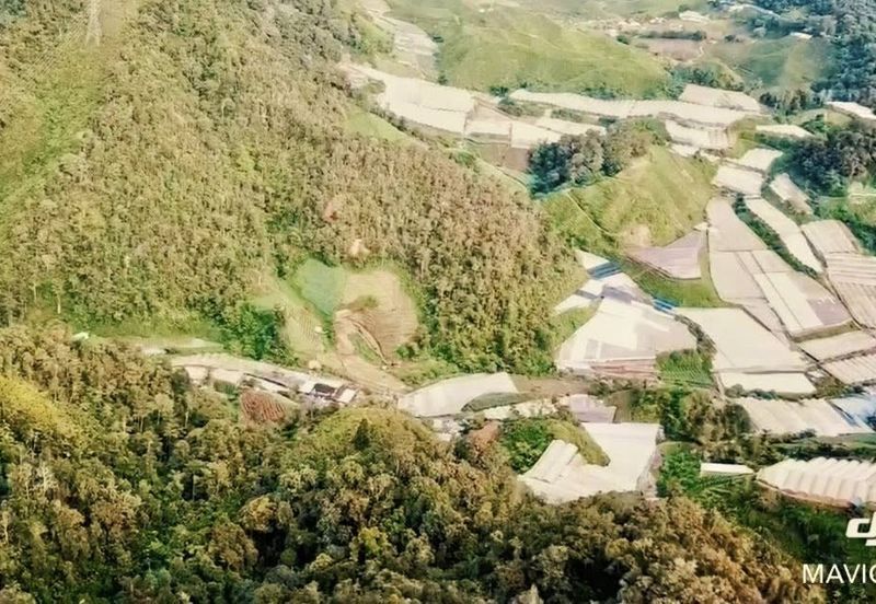 Ringlet Cameron Highlands @Pahang Development Land For Sale