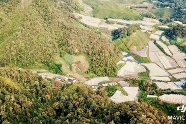 Ringlet Cameron Highlands @Pahang Development Land For Sale