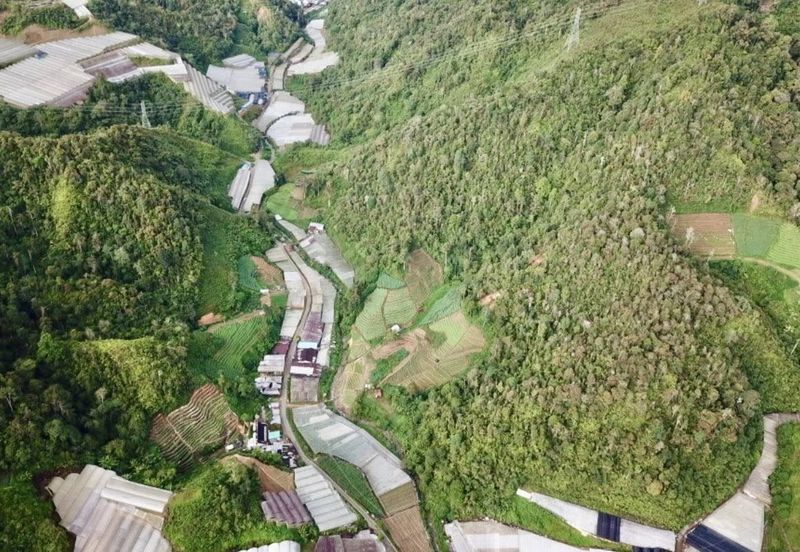 Ringlet Cameron Highlands @Pahang Development Land For Sale