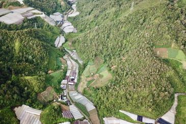 Ringlet Cameron Highlands @Pahang Development Land For Sale