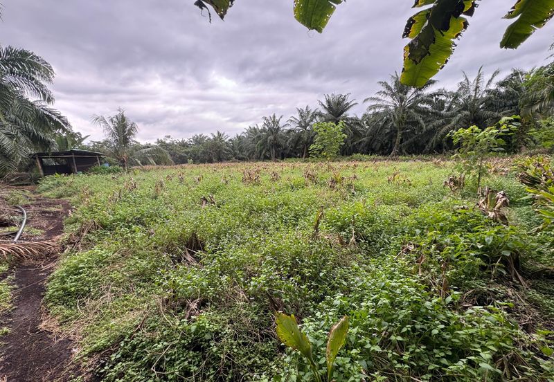 Batu Pahat-Kluang @ Johor Agricultural Land for Sale