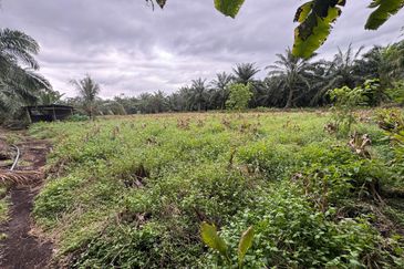 Batu Pahat-Kluang @ Johor Agricultural Land for Sale