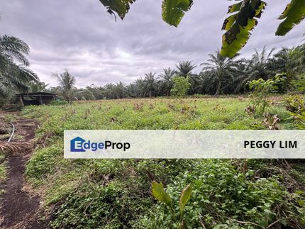 Batu Pahat-Kluang @ Johor Agricultural Land for Sale, Johor, Kluang