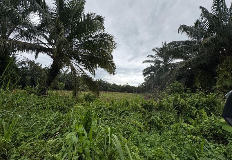 Batu Pahat-Kluang @ Johor Agricultural Land for Sale