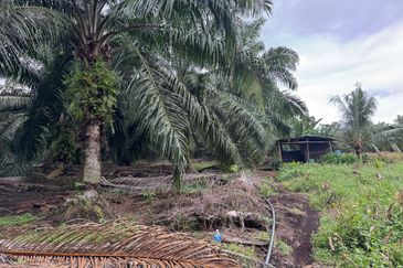 Freehold Agricultural Land @ Senai-Kulai, Johor for Sale