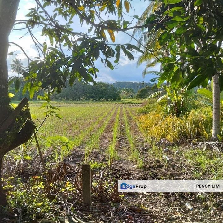 Jenjarom Seri Cheeding Tanjung Dua Belas Land For Sale, Selangor, Jenjarom