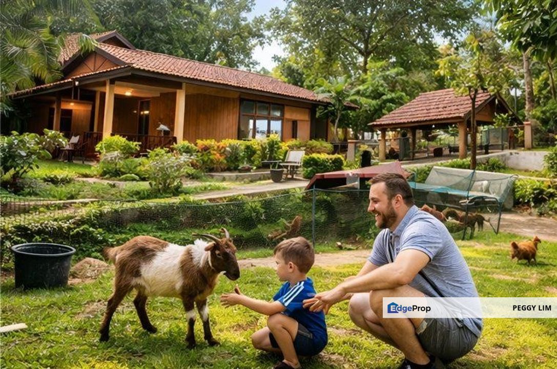 Resort Agrofarmstay 15-20 acres to Let in Melaka, Melaka, Durian Tunggal