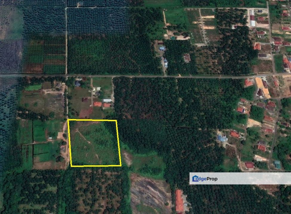 Tanah Pertanian 5.6 ekar Ulu Benut Johor, Johor, Kluang