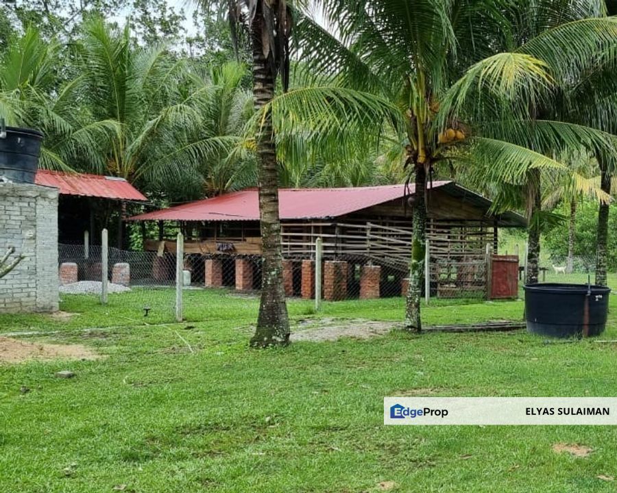 Lenggeng, Negeri Sembilan | Tanah Kebun 3.02 Ekar Kampung Kapal | Rumah sebuah, kandang kambing, pokok buah termasuk durian, Negeri Sembilan, Seremban