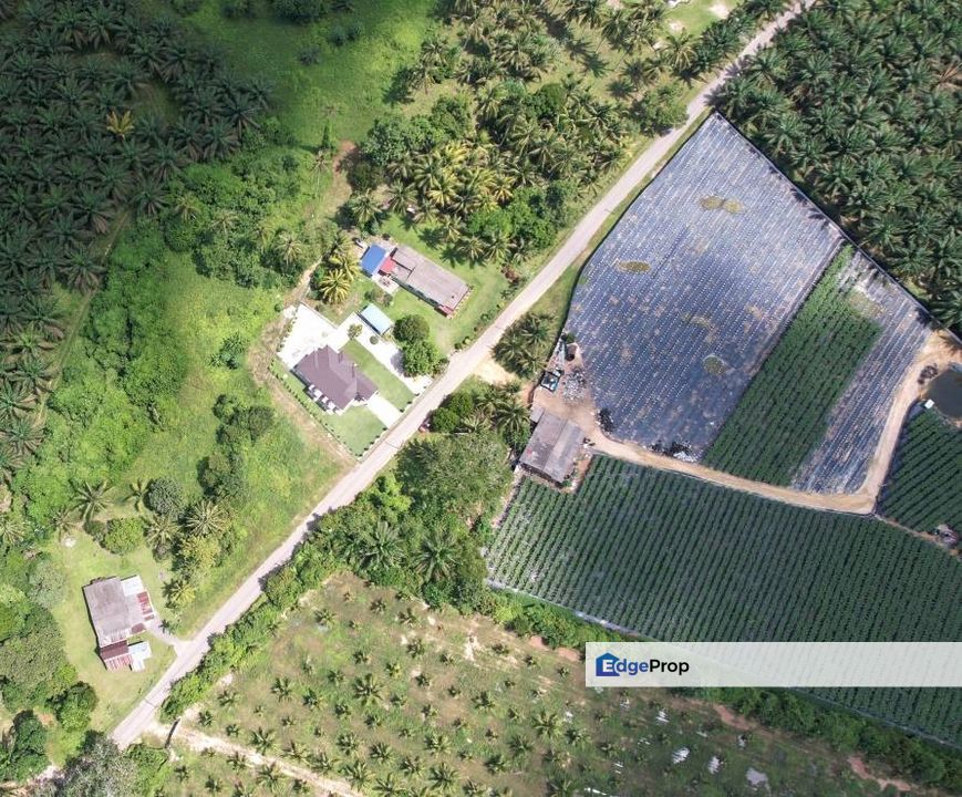 Tanah Pertanian Kebun 4.7 Ekar Rokan, Gemencheh Negeri Sembilan, Negeri Sembilan, Tampin