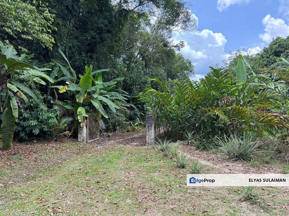 Batu 16, Dusun Tua, Hulu Langat | Kebun 5 Ekar | Rumah 2 Tingkat & 1 Tingkat, Kolam Ikan, Pokok Durian, Cempedak & Gaharu, Selangor, Hulu Langat