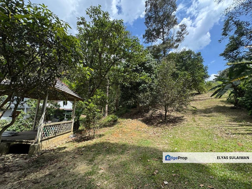 Batu 16, Dusun Tua, Hulu Langat | Kebun 5 Ekar | Rumah 2 Tingkat & 1 Tingkat, Kolam Ikan, Pokok Durian, Cempedak & Gaharu, Selangor, Hulu Langat