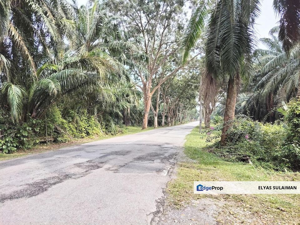 Bukit Changgang, Banting | Tanah Pertanian 6.2 Ekar | Zoning Perumahan, Selangor, Kuala Langat