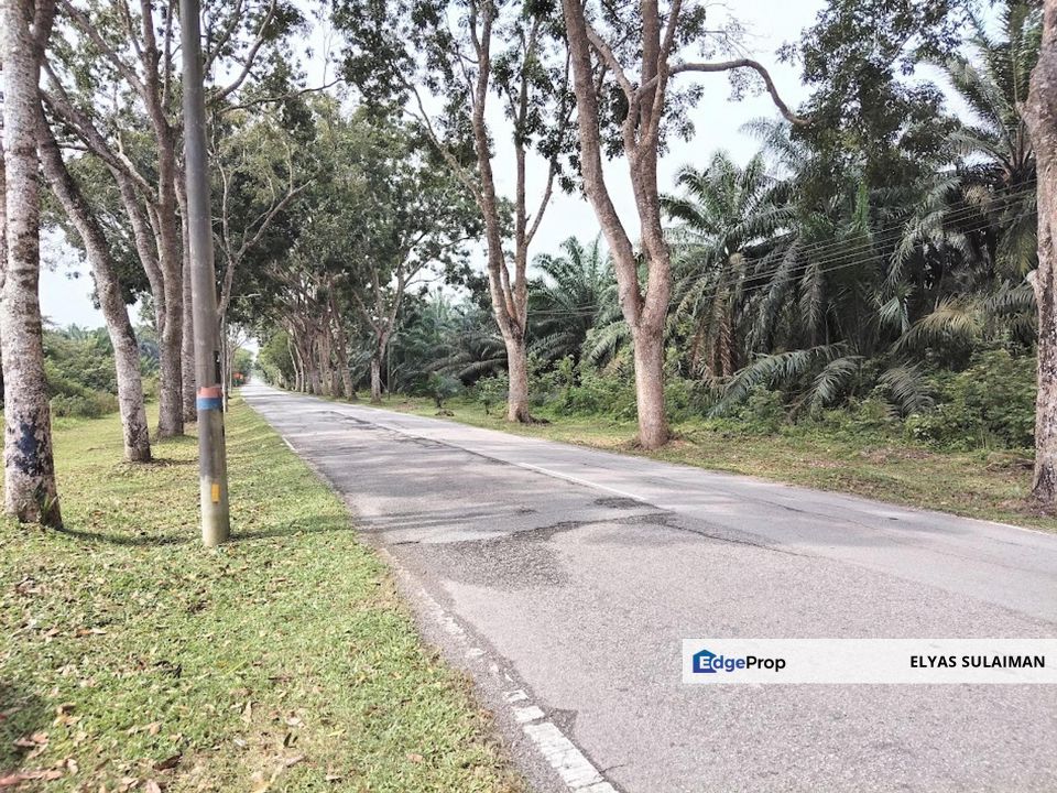 Bukit Changgang, Banting | Tanah Pertanian 6.2 Ekar | Zoning Perumahan, Selangor, Kuala Langat