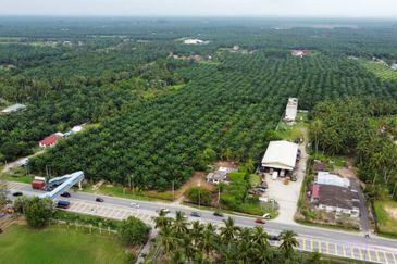 Tanah 8.8ekar Freehold Assam Jawa tepi jalan Kapar , Kuala Selangor